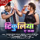 Tikuliya Ae Raja (Pawan Singh, Shivani Singh)