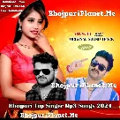 Bhojpuri Top Singer Mp3 Songs - 2024