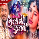 Gulabi Gulabi (Dhananjay Dhadkan, Shilpi Raj)