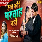 Ab Ka Parwah Nahi (Amrita Dixit)