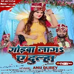 Godwa Laga Ae Dulha (Anu Dubey)