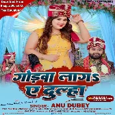 Godwa Laga Ae Dulha (Anu Dubey)