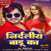 Nirdaliye Badu Ka (Vishal Gagan)