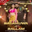 Balamuwa Ke Balaam (Samar Singh, Neha Raj)