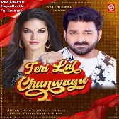 Teri Lal Chunariya (Pawan Singh, Jyotica Tangri)