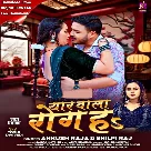 Yaar Wala Rog Ha (Ankush Raja, Shilpi Raj)