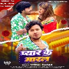 Pyar Ke Maral (Vishal Gagan)